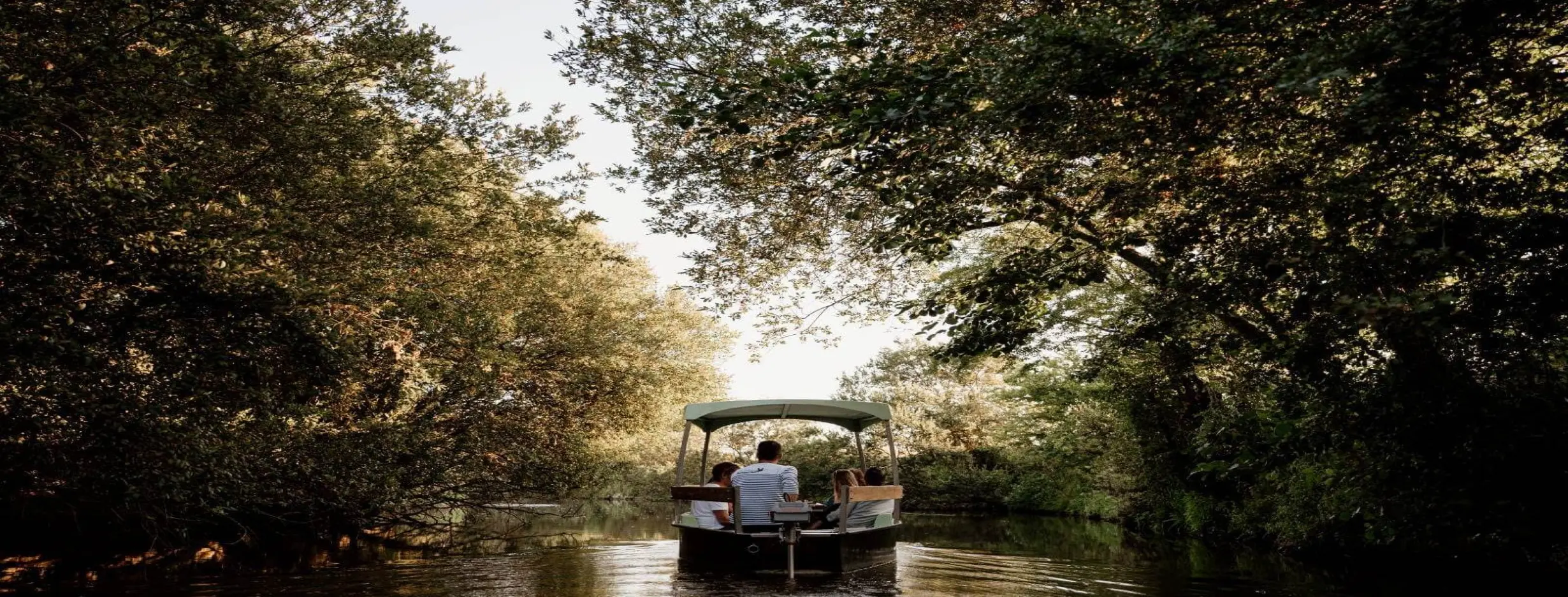 Image for Marshes Boat Tour